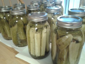 My Very First Canned Pickles!