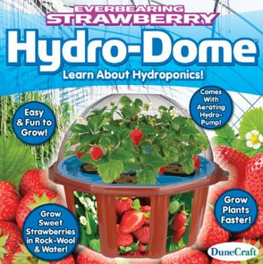 Amazon.com  Dunecraft Everbearing Strawberry Hydro Dome Science Kit