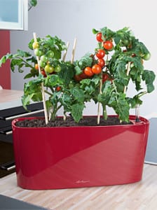 Delta 20 Self-Watering Planter $37.95