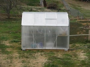 Matt's Greenhouse