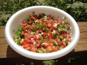 Pico Di Gallo 