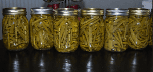 Canned Green Beans