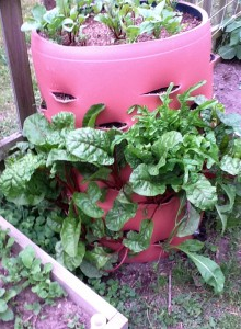 How to Make a Barrel Garden That Saves Space From Junk