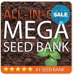 NEW  MEGA Seed Bank for Survival Emergency 100  GMO FREE  Non Hybrid