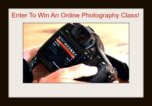 Enter to Win an Online Photography Class