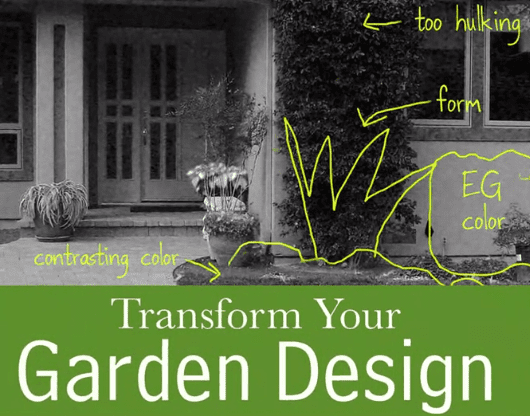 Transform Your Garden Design